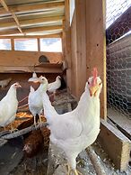 Columbia Point Resort