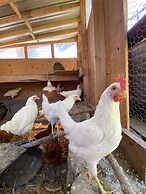 Columbia Point Resort