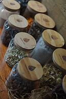 GDAS Bali Health and Wellness Resort - Adults Only