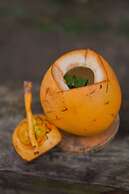 GDAS Bali Health and Wellness Resort - Adults Only