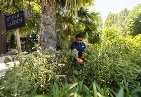 Mövenpick Resort Al Marjan Island