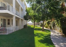 Sunny Palms #1908 by RedAwning