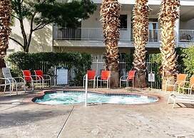 Sunny Palms #1908 by RedAwning