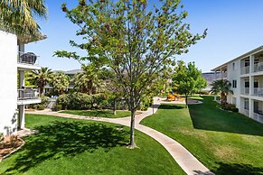 Sunny Palms #1908 by RedAwning