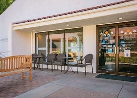 Sunny Palms #1908 by RedAwning