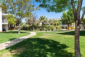 Sunny Palms #1908 by RedAwning