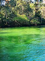 Time Well Wasted in Weeki Star5vacations