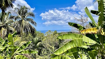 Habitation Caféière Samana Beauséjour
