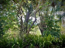 Habitation Caféière Samana Beauséjour