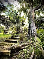 Habitation Caféière Samana Beauséjour