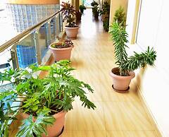 Magnificent Serviced 1 and 2 Bedroom Apartments