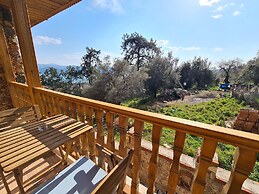 Amber Suites Akyaka +6