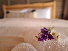 Amber Suites Akyaka +6