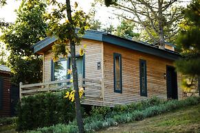 Nefes Dağyenice Doğada