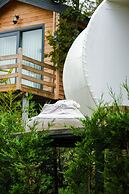 Nefes Dağyenice Doğada