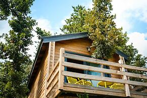 Nefes Dağyenice Doğada