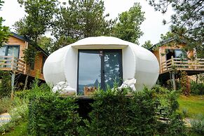 Nefes Dağyenice Doğada