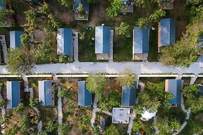 Nefes Dağyenice Doğada