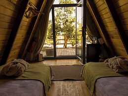 Nefes Dağyenice Doğada