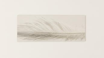 Residenza Excelsior 707