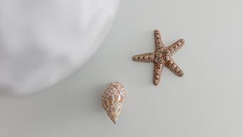 Residenza Excelsior 602