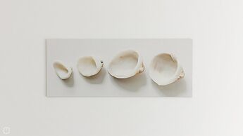 Residenza Excelsior 702