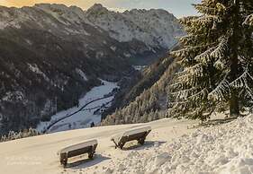Alpine Apt Melanija Private Ski Area