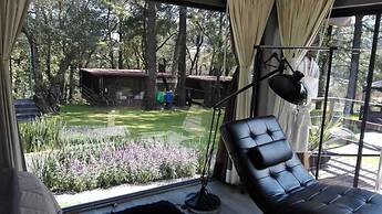 Orgánico Hotel Boutique