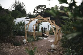 Evergreen Glamping