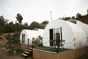 Evergreen Glamping