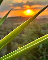 2-bed Pool Villa in Panormo