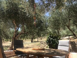 Private Two-house Villa With Pool in Olive Garden