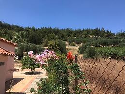 Private Two-house Villa With Pool in Olive Garden