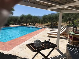 Private Two-house Villa With Pool in Olive Garden