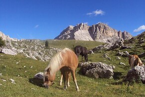 Room-residence Klementhof #3