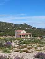 Soothing Holiday Home Green Life