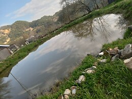Room in Guest Room - Cozy Rural Retreat in Roşia Montana
