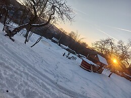 Room in Guest Room - Cozy Rural Retreat in Roşia Montana
