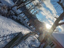 Room in Guest Room - Cozy Rural Retreat in Roşia Montana