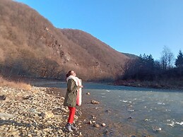 Room in Guest Room - Cozy Rural Retreat in Roşia Montana