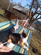 Room in Guest Room - Cozy Rural Retreat in Roşia Montana