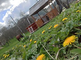 Room in Guest Room - Cozy Rural Retreat in Roşia Montana