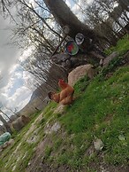 Room in Guest Room - Cozy Rural Retreat in Roşia Montana