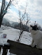 Room in Guest Room - Cozy Rural Retreat in Roşia Montana