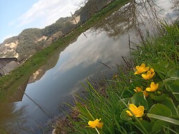 Room in Guest Room - Cozy Rural Retreat in Roşia Montana