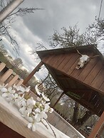 Room in Guest Room - Cozy Rural Retreat in Roşia Montana