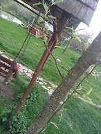 Room in Guest Room - Cozy Rural Retreat in Roşia Montana