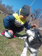 Room in Guest Room - Cozy Rural Retreat in Roşia Montana