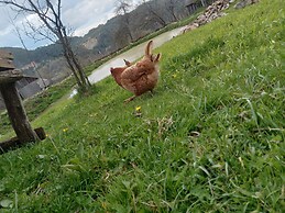 Room in Guest Room - Cozy Rural Retreat in Roşia Montana