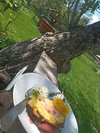 Room in Guest Room - Cozy Rural Retreat in Roşia Montana